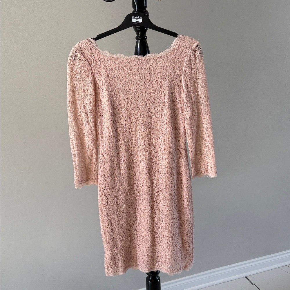 Adrianna Papell Pink Lace Long Sleeve Dress